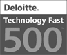 Deloitte - Technology Fast 500